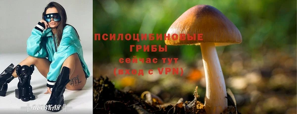 бутират Богданович