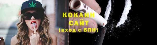 сатива Богородск