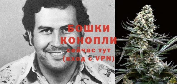 сатива Богородск