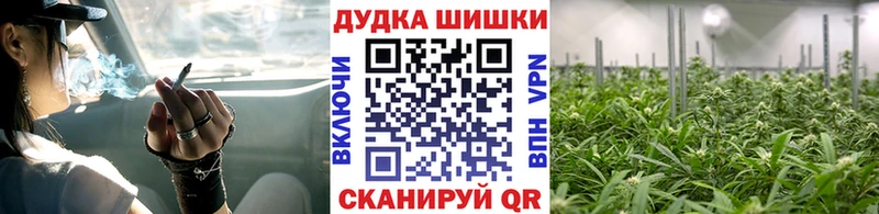 что такое наркотик  Завитинск  Марихуана конопля 